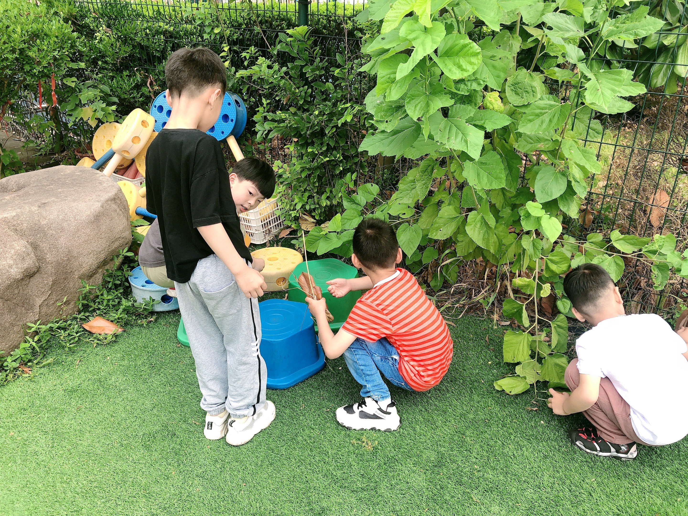 香菜不香？科学家揭秘：害虫也嫌它“有毒”